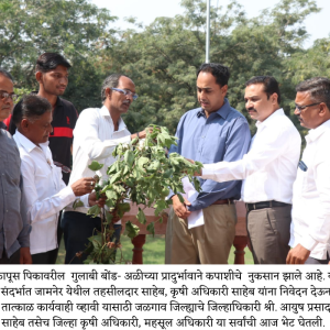 Dr Prashant Patil krushi (4)