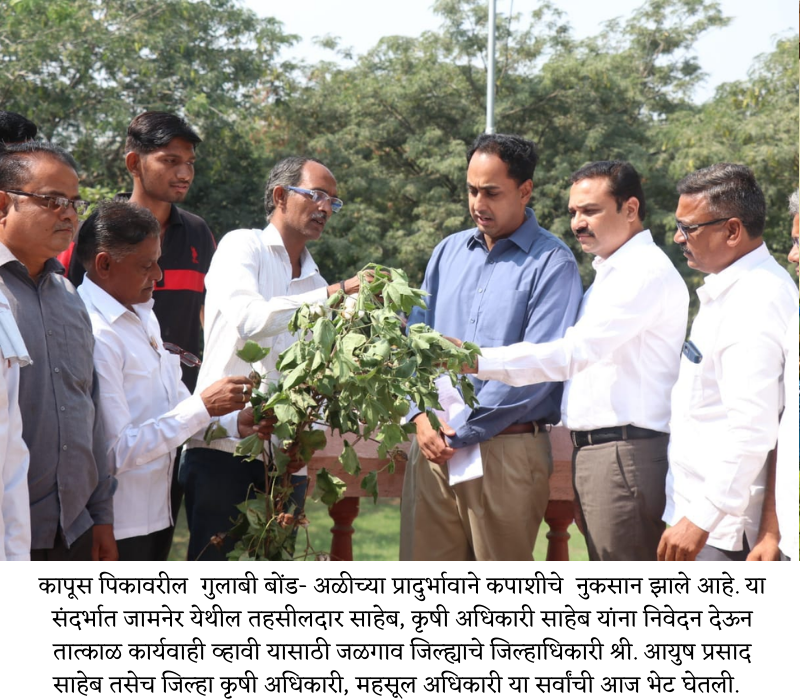 Dr Prashant Patil krushi (4)